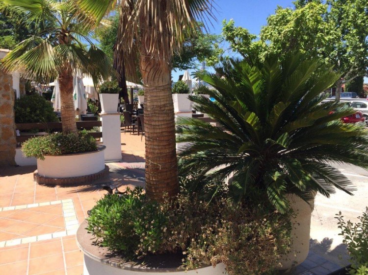 IMG-20150616-WA0009